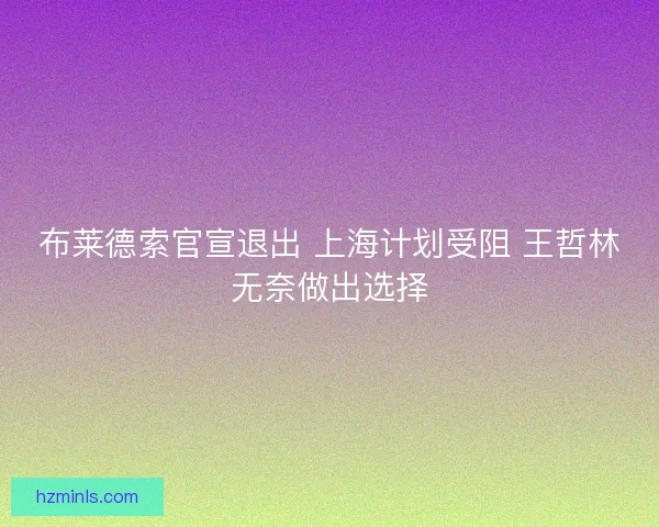布莱德索官宣退出 上海计划受阻 王哲林无奈做出选择