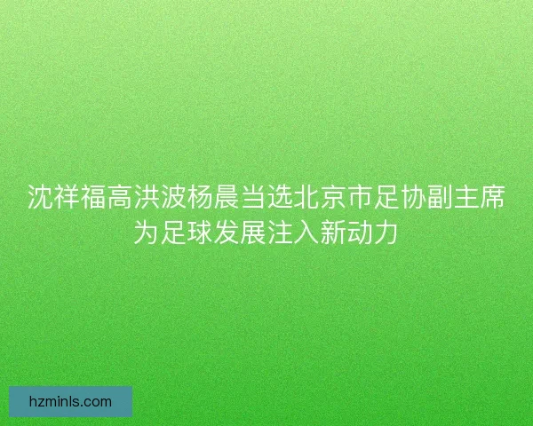 沈祥福高洪波杨晨当选北京市足协副主席为足球发展注入新动力 沈祥福高洪波杨晨当选北京市足协副主席为足球发展注入新动力